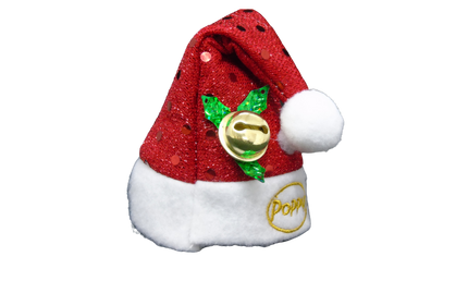 Poppy Santa Hat