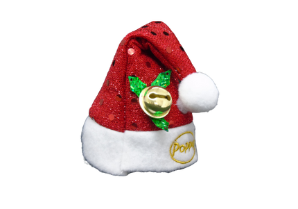 Poppy Santa Hat