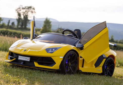 Lamborghini Aventador Ride On Powered Car for Kids