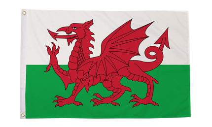 Large Flag: Wales (5ft x 3ft)