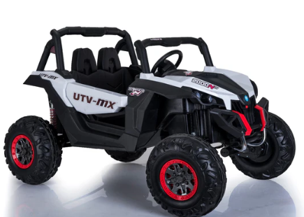 24V UTV