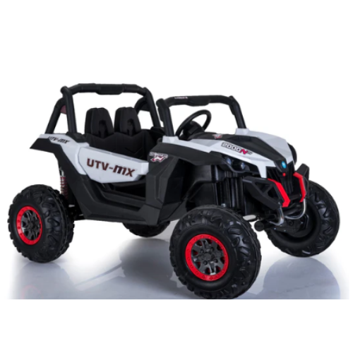 24V UTV